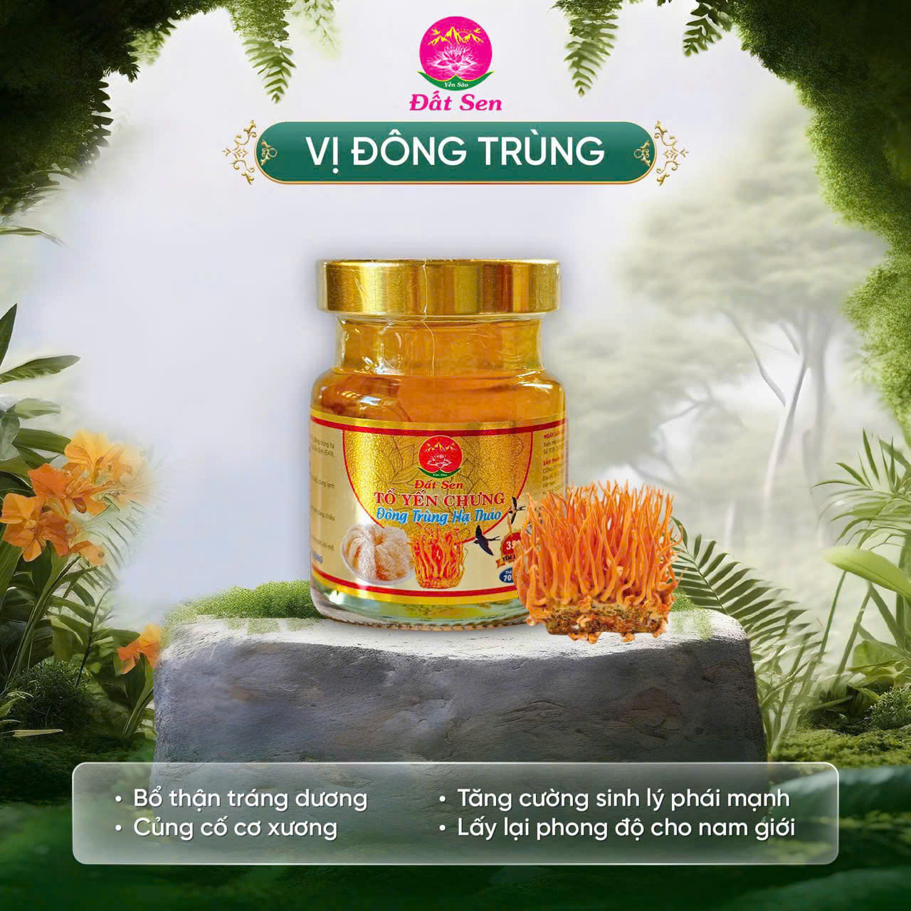 Yến chưng đông trùng hạ thảo Đất Sen